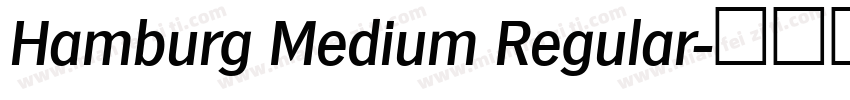 Hamburg Medium Regular字体转换